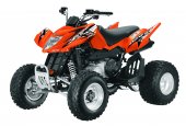 2012 Arctic Cat 300 DVX photo